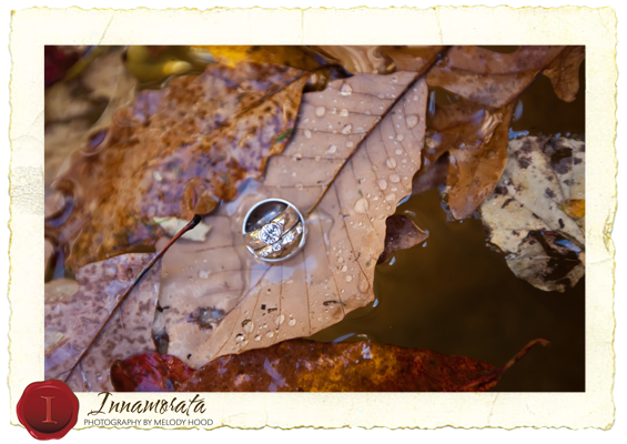 Grandview Wedding Chattanooga Lookout Mountain