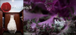 Vera Wang Wedding Dress