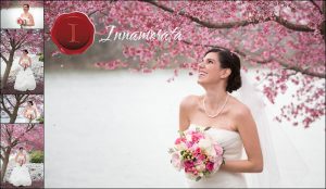 Beautiful Bride Cherry Blossoms