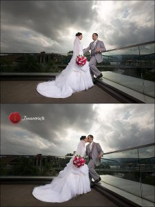 Hunter Museum Wedding Photos