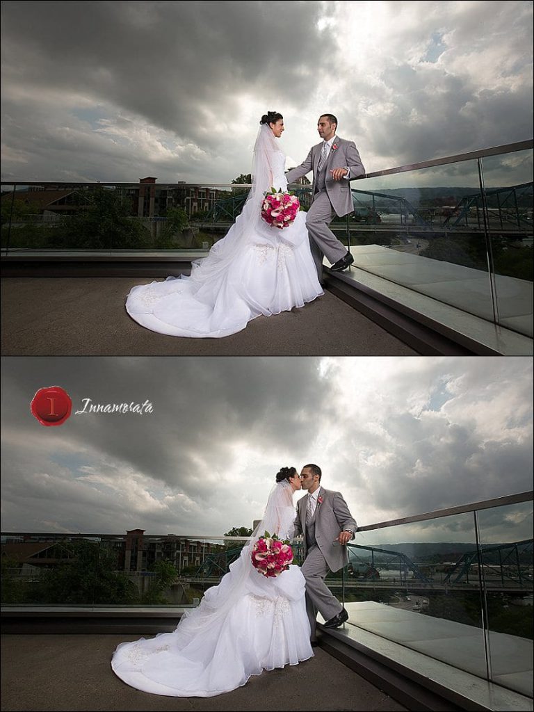 Hunter Museum Wedding Photos