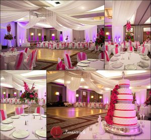 Cake by Cakemakers Dan the Cake Man