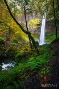 Elowah Falls in Oregon