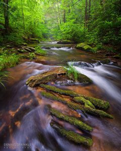 Goforth Creek in Ocoee, TN 2