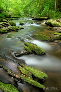Goforth Creek in Ocoee, TN 3