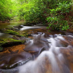 Goforth Creek in Ocoee, TN