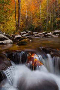 Little River in Tremont, TN 2