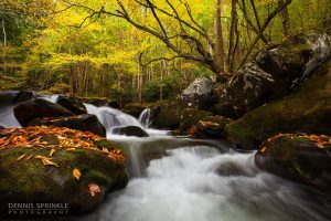 Little River in Tremont, TN