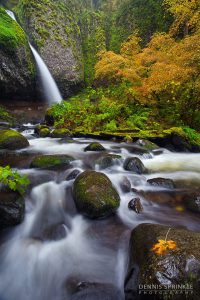Ponytail Falls in Oregon