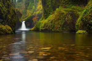 Punchbowl Falls in Oregon