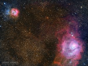 Trifid & Lagoon