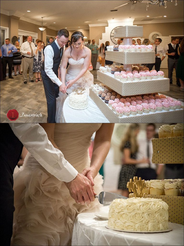 Cake Cutting at Tennessee Riverplace Wedding