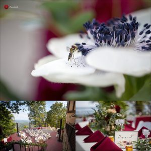 Chattanooga Wedding Photographer