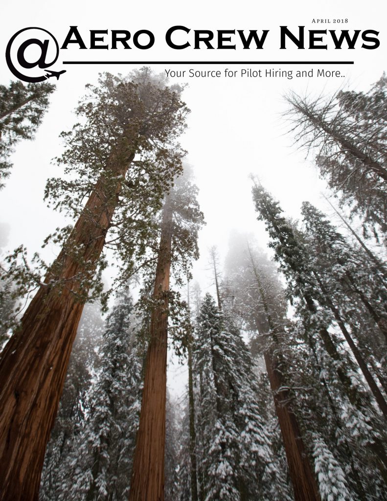 Aviation_portfolio_image_by_Chattanooga_based_Innamorata_Photography_04-ACN-Apr-2018-highres