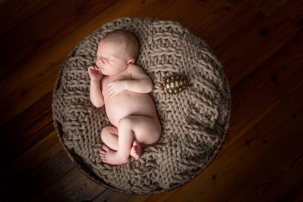 Baby_portfolio_image_by_Chattanooga_based_Innamorata_Photography_6N5C0625-Edit
