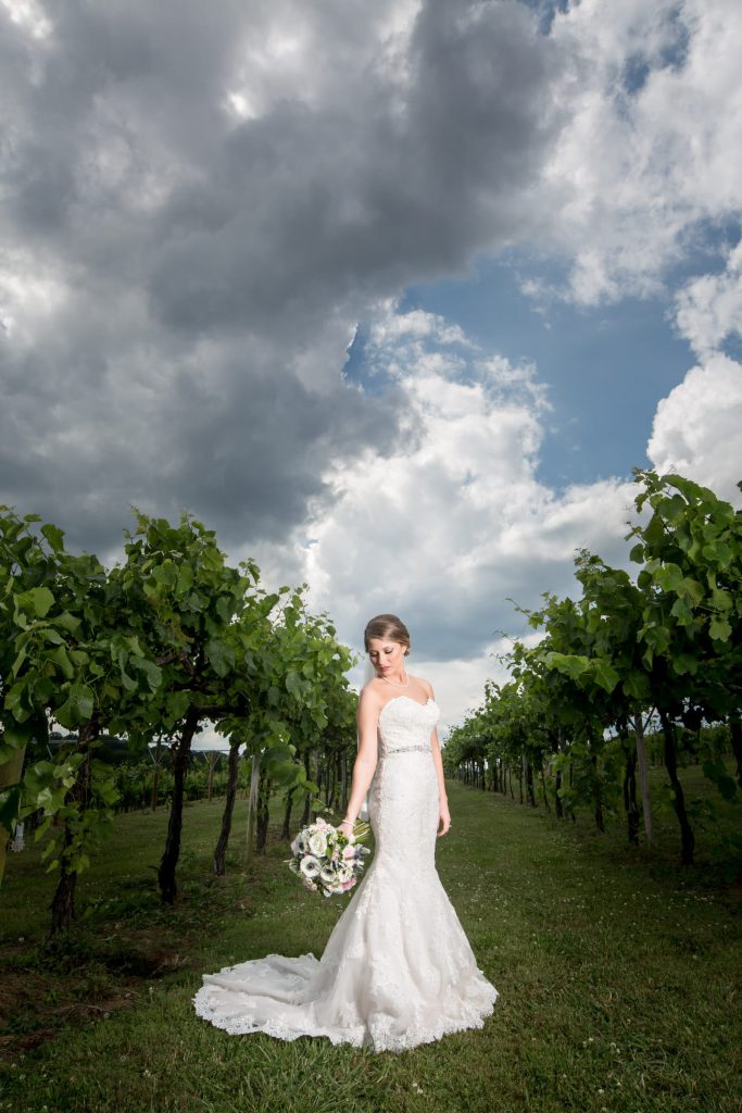 Bridal_portrait_portfolio_image_by_Chattanooga_based_Innamorata_Photography_ChrisLauraWed0137C