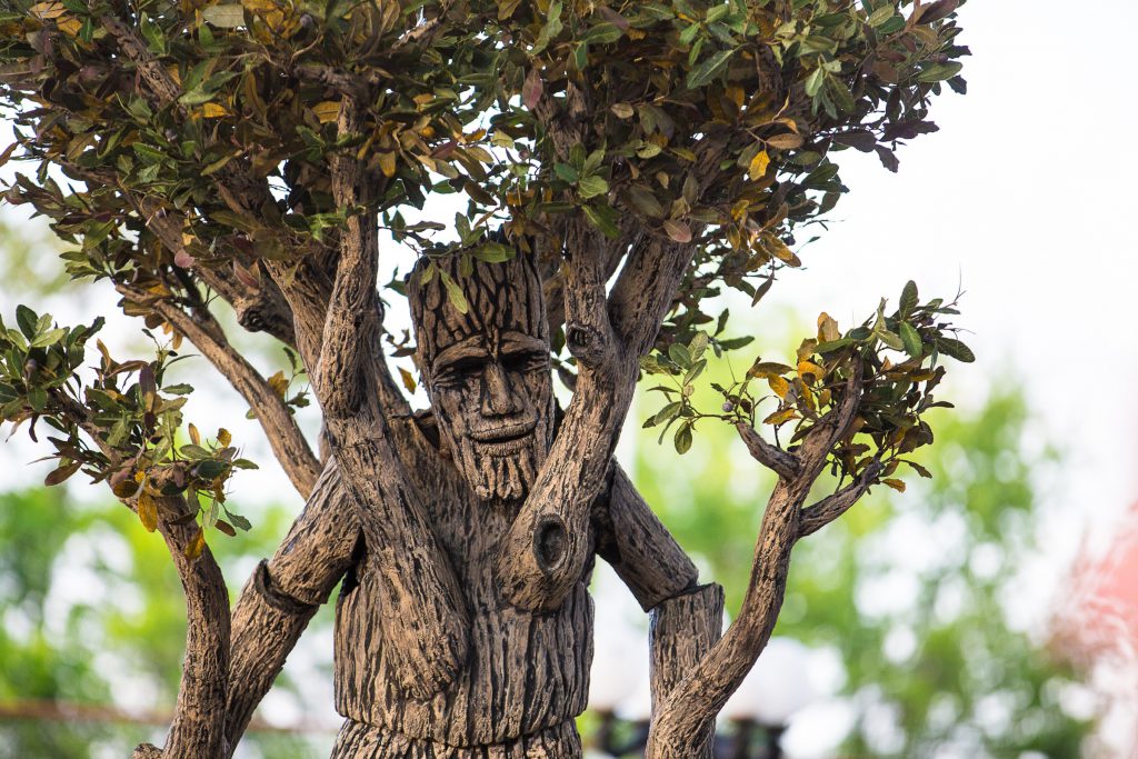 Event_portfolio_image_by_Chattanooga_based_Innamorata_Photography_6N5C9379