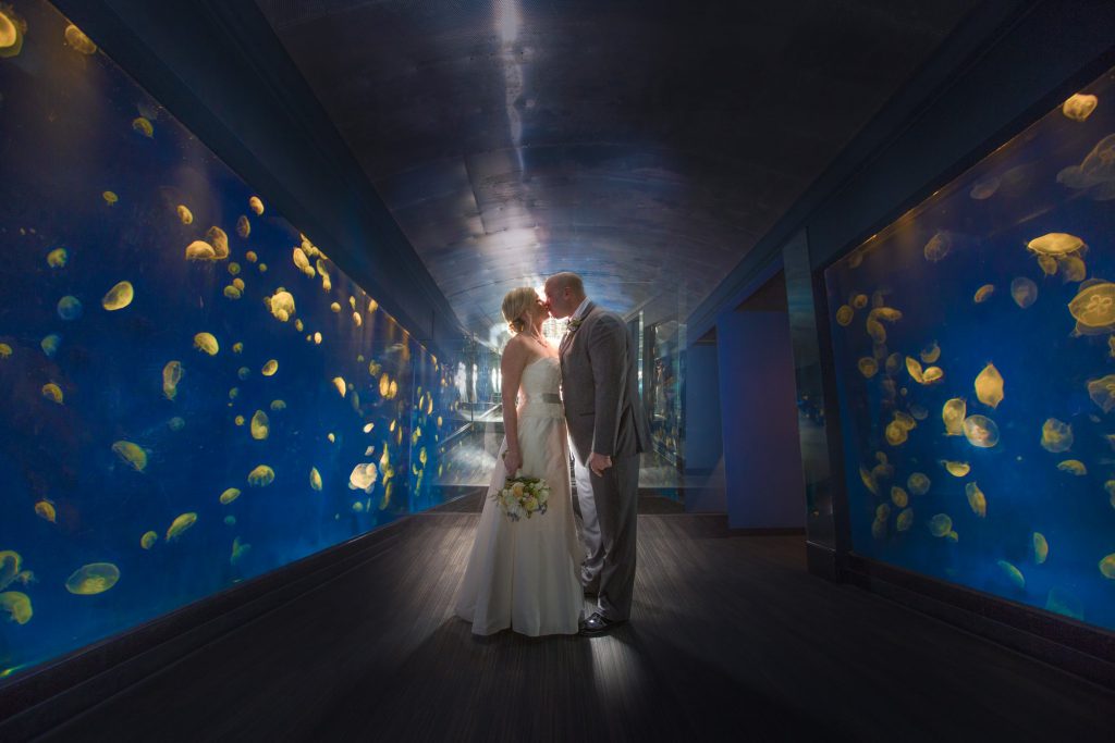 Forever_wedding_portrait_portfolio_image_by_Chattanooga_based_Innamorata_Photography_AnneBrianWed00521C