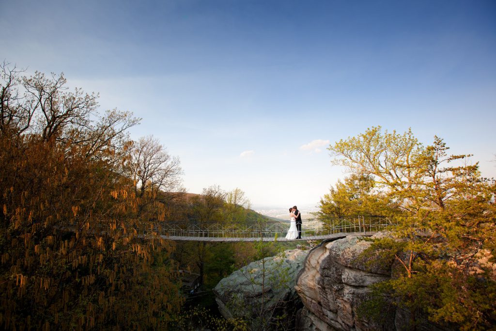 Forever_wedding_portrait_portfolio_image_by_Chattanooga_based_Innamorata_Photography_IMG_7025-Edit