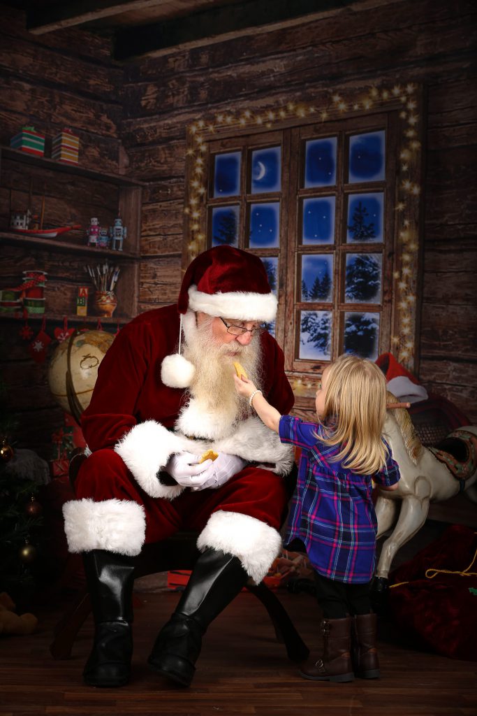Santa_portrait_portfolio_image_by_Chattanooga_based_Innamorata_Photography_HalesSanta-17