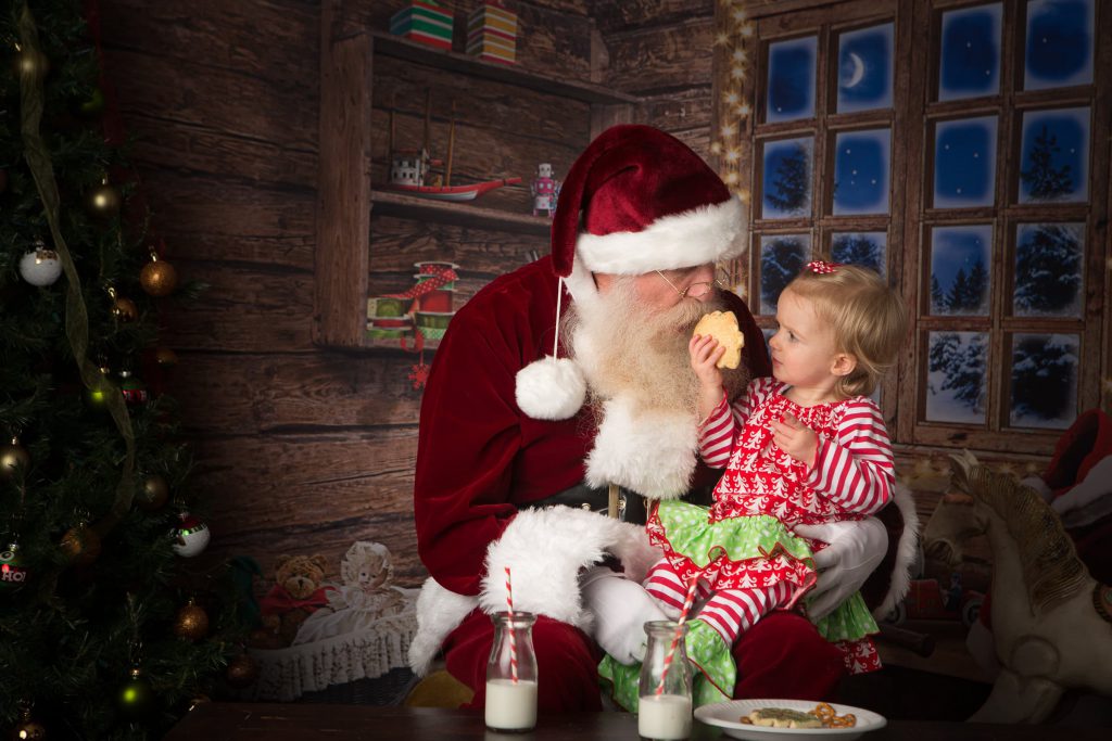 Santa_portrait_portfolio_image_by_Chattanooga_based_Innamorata_Photography_SR0A5384