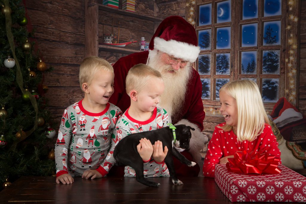 Santa_portrait_portfolio_image_by_Chattanooga_based_Innamorata_Photography_SR0A5925