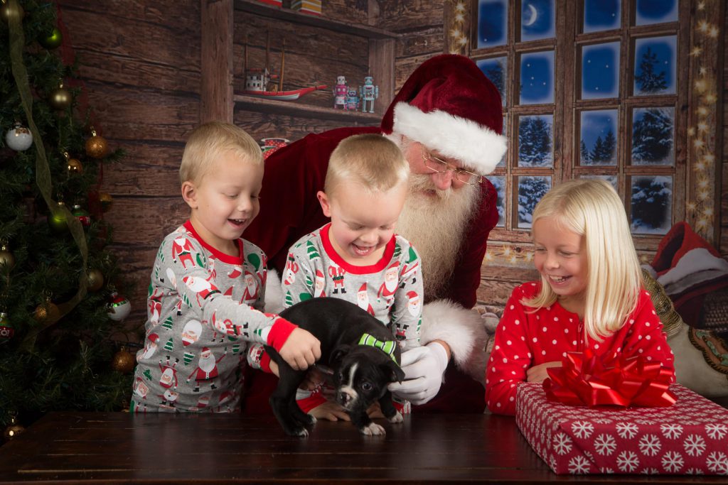 Santa_portrait_portfolio_image_by_Chattanooga_based_Innamorata_Photography_SR0A5927