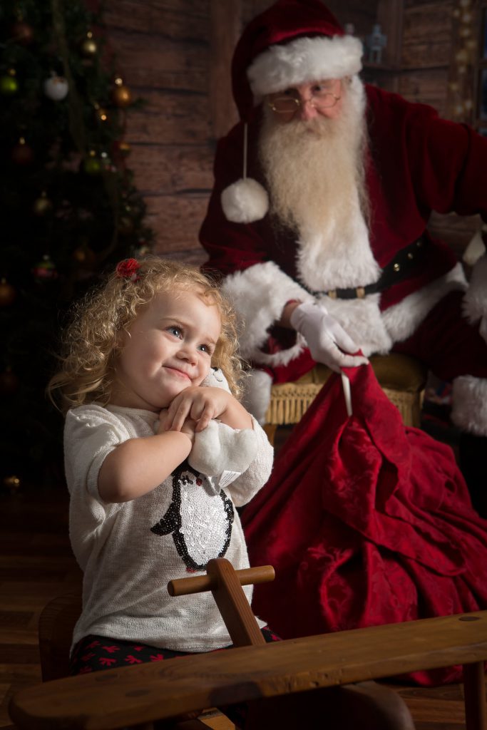 Santa_portrait_portfolio_image_by_Chattanooga_based_Innamorata_Photography_SR0A7383