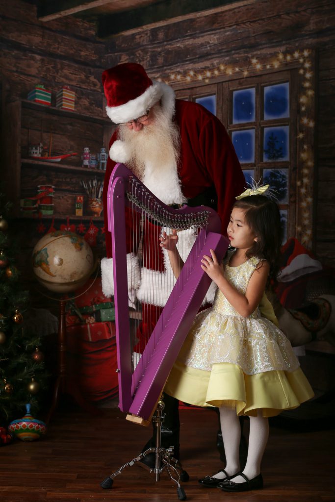 Santa_portrait_portfolio_image_by_Chattanooga_based_Innamorata_Photography_TranSanta-40