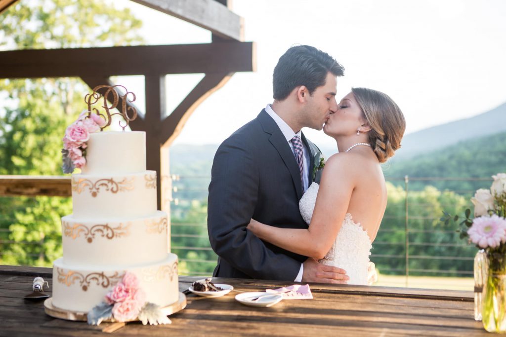 Wedding_celebration_portfolio_image_by_Chattanooga_based_Innamorata_Photography_ChrisLauraWed0578C