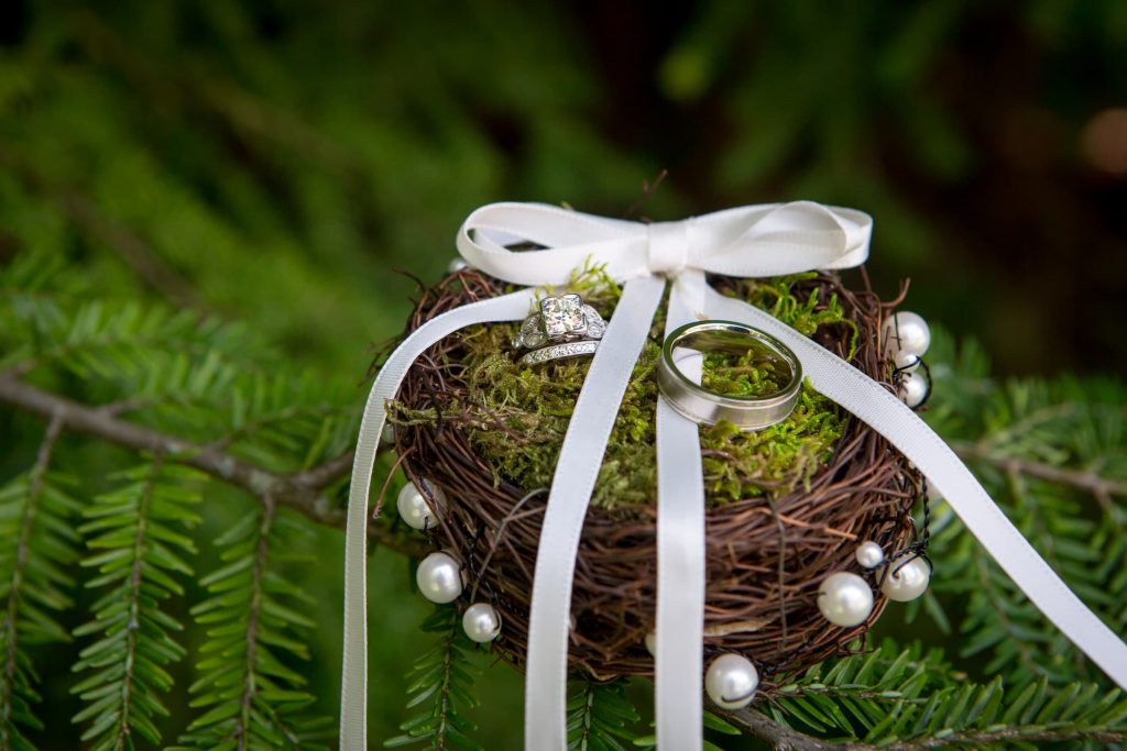 Wedding_detail_portfolio_image_by_Chattanooga_based_Innamorata_Photography_AllisonRogerWed00008C