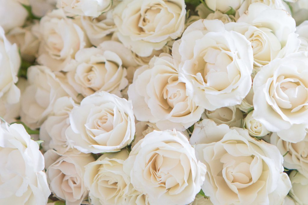 Wedding_detail_portfolio_image_by_Chattanooga_based_Innamorata_Photography_DottieMichaelWED00074C