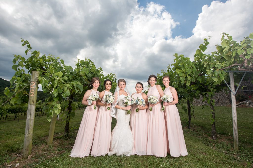 Wedding_party_and_family_portfolio_image_by_Chattanooga_based_Innamorata_Photography_ChrisLauraWed0140C