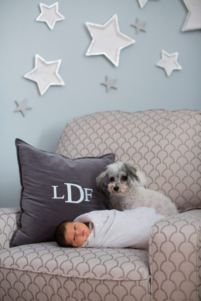 Chattanooga In Home Lifestyle Photographer Photography