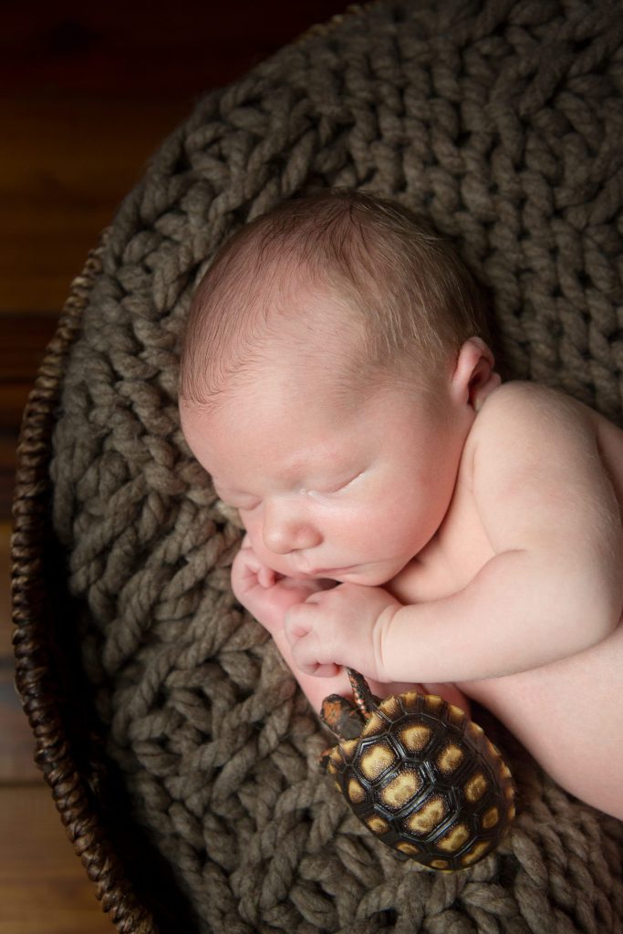 Chattanooga Newborn Photographers Downtown Studio Photography